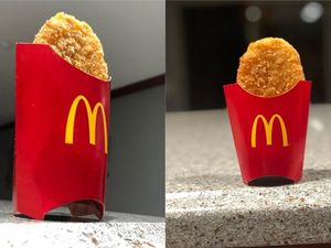 Supporting image for story: Man’s drunken photoshoot gives McDonald’s hash brown 15 minutes of fame