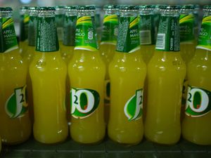Supporting image for story: Carlsberg’s £3.3bn takeover of Britvic approved by High Court judge