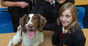 A drugs dog has been taken into three Wednesbury schools as part of a week-long crime crackdown in the town.