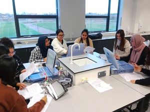 Supporting image for story: Students take part in innovative project around medical solutions