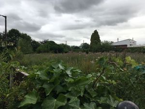 Supporting image for story: Fears too many homes are planned for former bowling green disused for 14 years