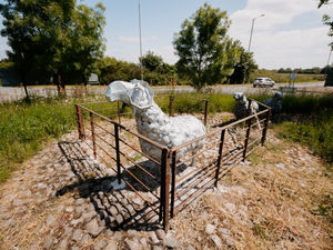 Supporting image for story: Good as ewe: Newport's roundabout sheep sculpture restored after crash split the herd