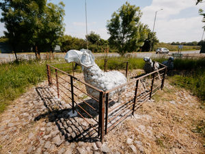 Supporting image for story: Good as ewe: Newport's roundabout sheep sculpture restored after crash split the herd