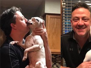 Supporting image for story: Watch: Tearful dad gifted cushion with image of dead dog to aid him in his grief