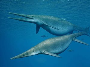 Supporting image for story: Jurassic ichthyosaurs may have shared traits with modern dolphins