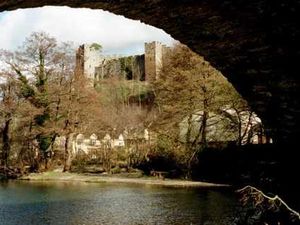 Supporting image for story: Spawning salmon delay Ludlow park revamp