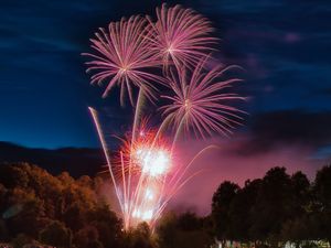 Supporting image for story: Shrewsbury Flower Show fireworks finally back to delight crowds after bomb scare drama