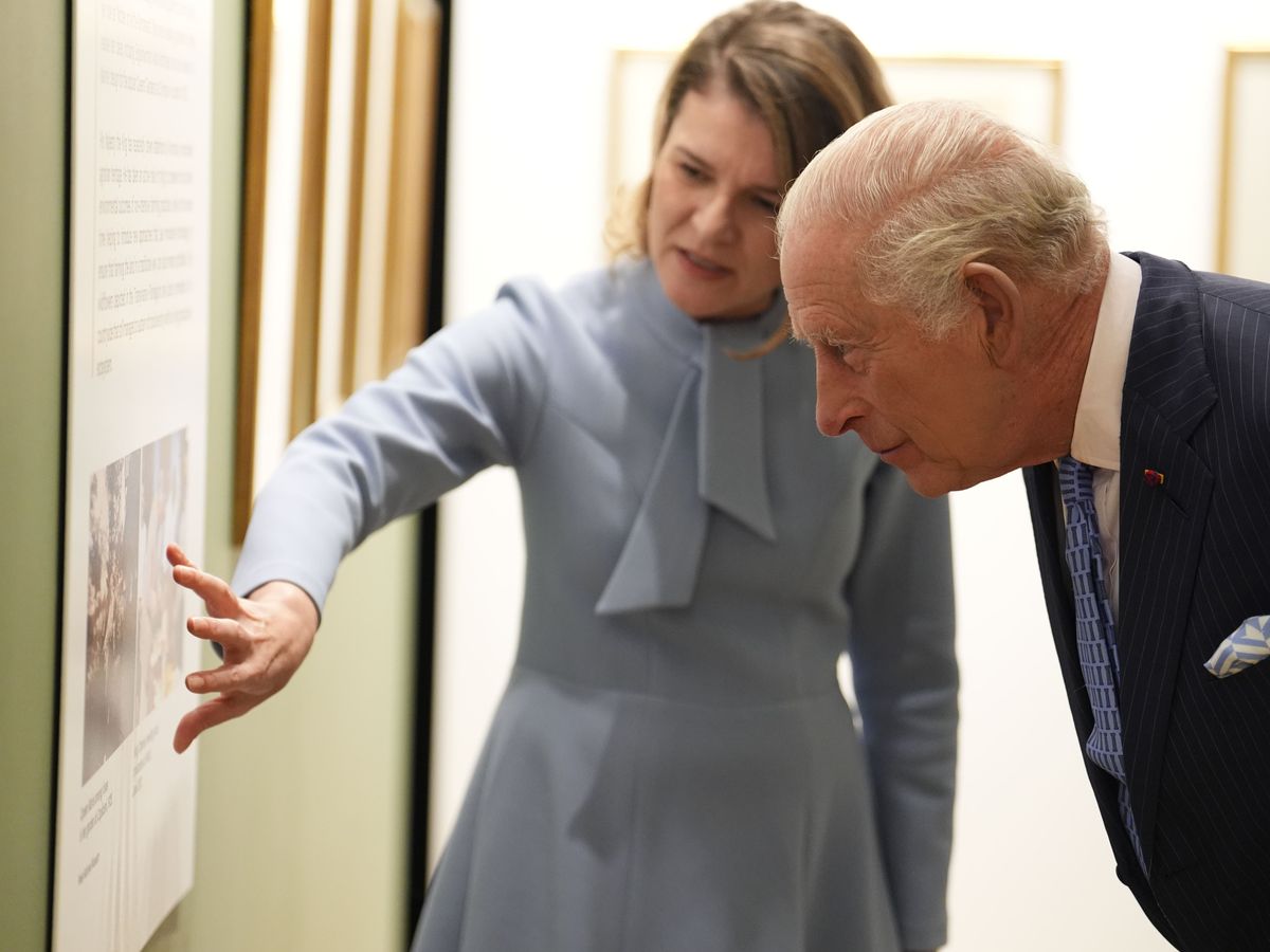 King visits exhibition of paintings including his own watercolours
