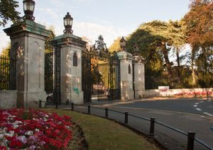 Supporting image for story