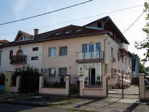 Supporting image for story: Woman whose firm linked to exploding pagers ‘under Hungarian protection’