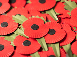 Supporting image for story: Volunteers needed in Shropshire to help the Royal British Legion’s Poppy Appeal