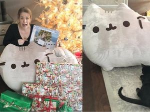Supporting image for story: Bill Gates got a cat enthusiast for his Reddit Secret Santa, and this is the incredible result