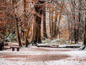 Supporting image for story: Six delightful walks around Telford you may not know about to burn off that festive feast