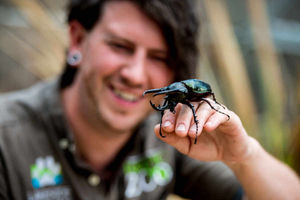 Supporting image for story: Pictures: Scott stars with Telford zoo's giant beetle on Blue Peter