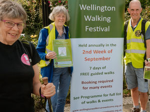 Supporting image for story: Wellington Walking Festival going ahead with fewer activities 
