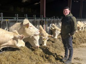 Supporting image for story: Charlie wins scholarship to study cattle farming in South America