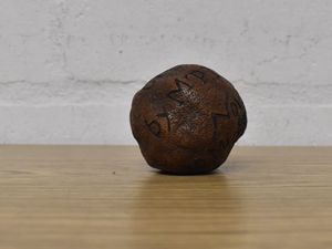 Supporting image for story: Mystery bidder buys 285-year-old lemon for £1,400