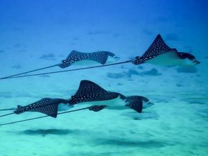 Supporting image for story: 11 of the best possible ways to spend £15 or less