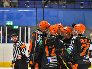 Supporting image for story: Telford Tigers fall short of double victory