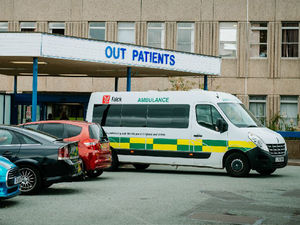 Supporting image for story: Man in serious condition after being pulled from garden pond