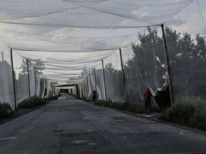Supporting image for story: Russian forces break into another region of Ukraine with peace efforts stuck