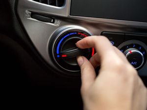 Supporting image for story: Celebrity scientist shares top tip to quickly cool your car