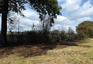 Approximately 100 metres of hedgerow was damaged. Pic: Market Drayton Fire Station