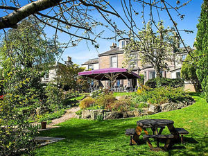 Supporting image for story: Honest and exquisite