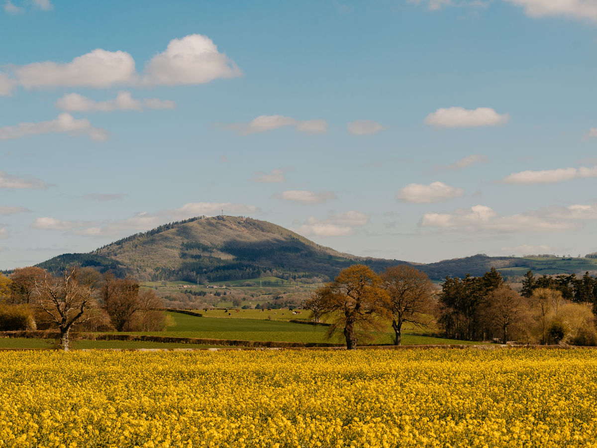 Abandoned campfire on The Wrekin sparks ‘serious’ wildfire warning