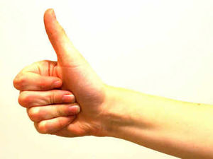 Supporting image for story: Pair hitch-hike . . . from Australia to Shropshire