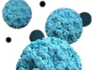 Supporting image for story: Medics issue tips to help people avoid norovirus