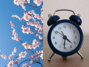 Supporting image for story: What and when the spring equinox is - and when the clocks go forward