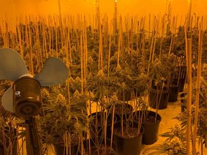 Supporting image for story: Cannabis farm found in Kidderminster