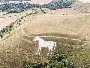 Supporting image for story: Police investigating damage to Westbury White Horse after red cross pinned to it
