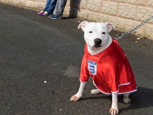 Supporting image for story