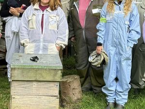 Supporting image for story: A sweet collaboration is creating a buzz as two media experts join forces to champion beekeepers’ cause