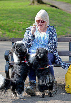 Sue Beilby from Wednesbury takes her dogs Barney and Bear out for a walk
