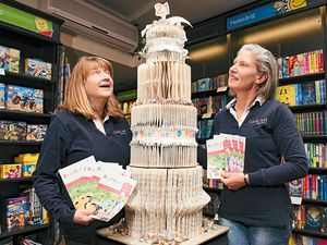 Supporting image for story: Book festival opens this weekend for anniversary celebrations