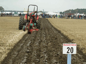 Supporting image for story: Farmers to show off ploughing prowess