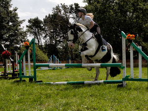 Supporting image for story: No long faces as horse show celebrates 99th anniversary