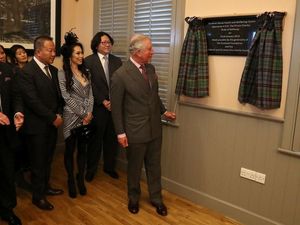 Supporting image for story