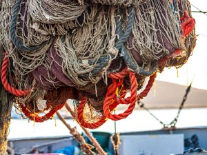 Supporting image for story: Government facing increasing pressure to ban bottom trawling in protected areas
