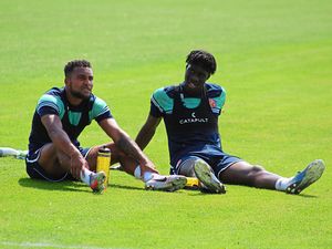 Supporting image for story: Forest Green v Walsall - match preview 