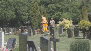 Telford & Wrekin Council’s annual grass-cutting operation is underway, tackling more than six million square metres of grass. Picture: Telford & Wrekin.