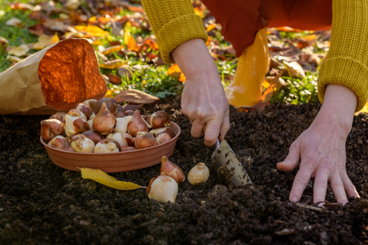 The unassuming West Midlands garden centre ranked among the best in Britain