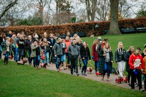 Festive Sausage Dog meet up and walk at The Quarry in Shrewsbury. Organised via Shrewsbury Sausage Social