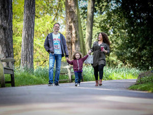 Supporting image for story: Celebrate the countdown to Spring with Birmingham Botanical Garden's half-term events