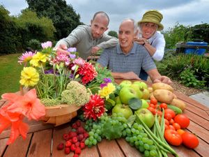 Supporting image for story: Allotment holders in Telford thank public for their help after theft of gazebos