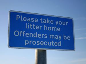 Supporting image for story: Why you shouldn't drop fruit peel or apple cores from your car or at the roadside