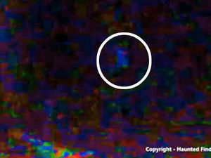 Supporting image for story: Black-Eyed Child spotted in Cannock Chase